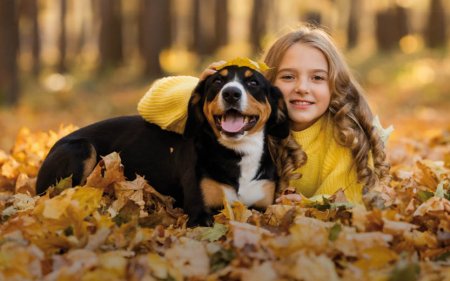 Herbstliche Snacks für dein Haustier